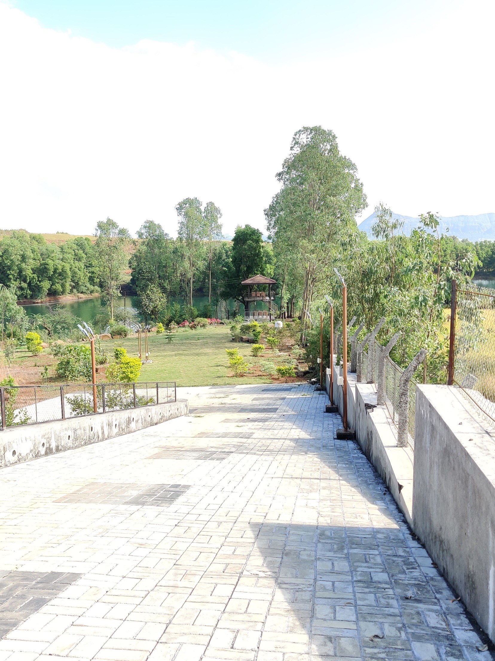 Yahvi — photo 21